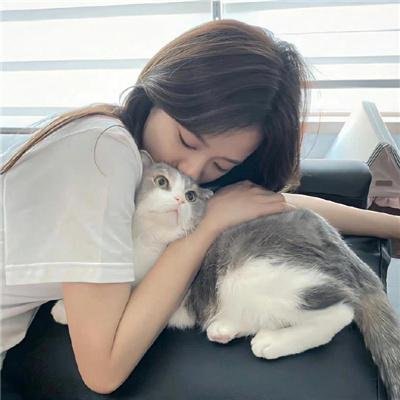 狗狗大展